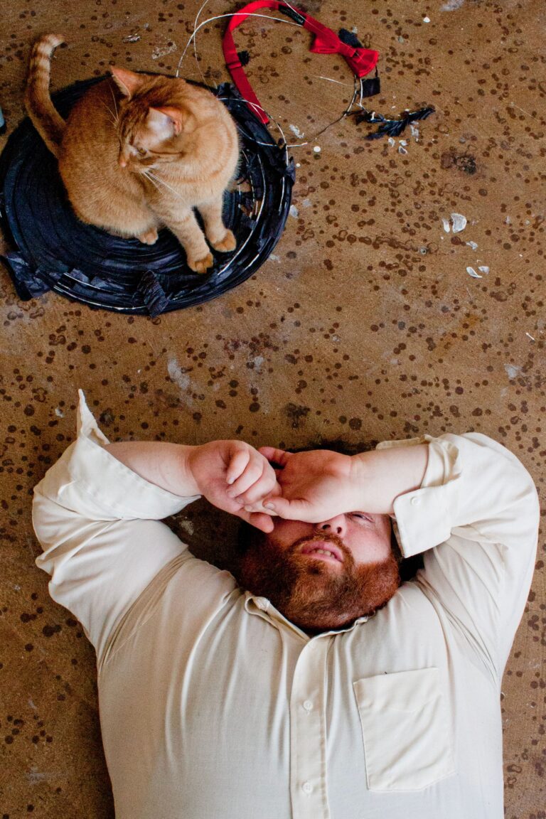 Cats and Whatnot, photographed by Kirill Varshavskiy. One Frame honourable mention, Shoot The Frame 2025.