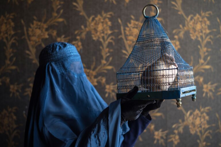 Caged, photographed by Mauro De Bettio. One Frame honourable mention, Shoot The Frame 2025.