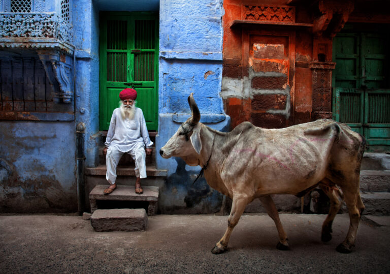 India, photographed by Fadhel Almutaghawi. One Frame honourable mention, Shoot The Frame 2025.