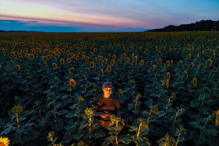 Female soldier in a sunflower field, photographed by Ercin Erturk. One Frame honourable mention, Shoot The Frame 2025.