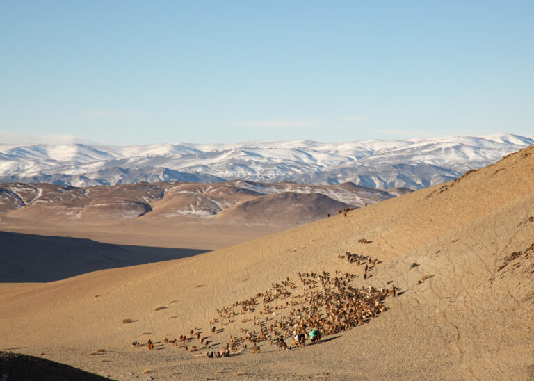 Extreme Living – The Winter Migration, a photo essay by Alessandra Manzotti. Photo Essay honourable mention, Shoot The Frame 2025.