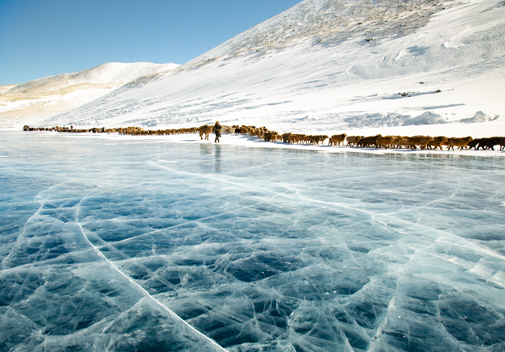 Frame 2 of 15 from Extreme Living – The Winter Migration, a photo essay by Alessandra Manzotti
