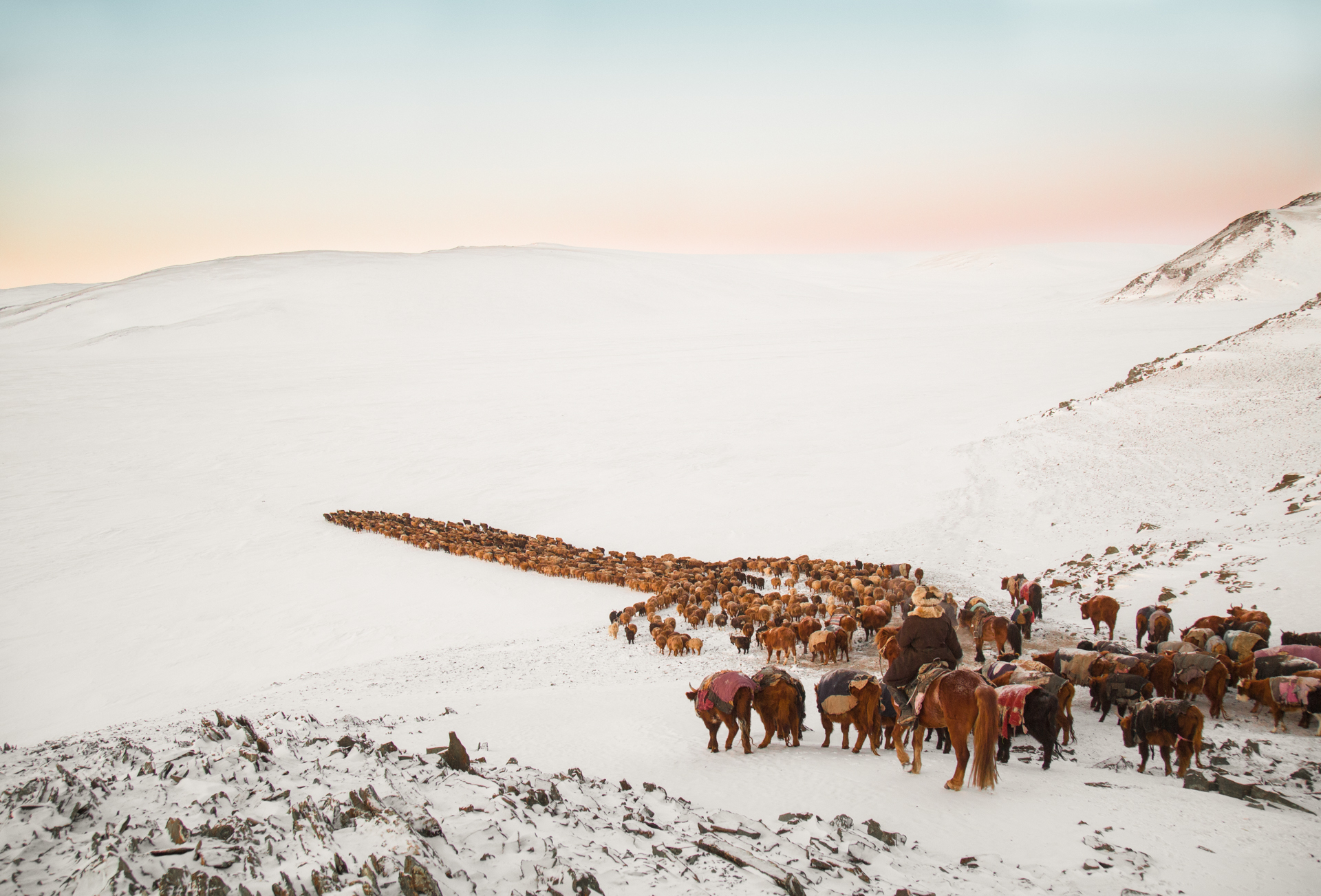 Frame 3 of 15 from Extreme Living – The Winter Migration, a photo essay by Alessandra Manzotti