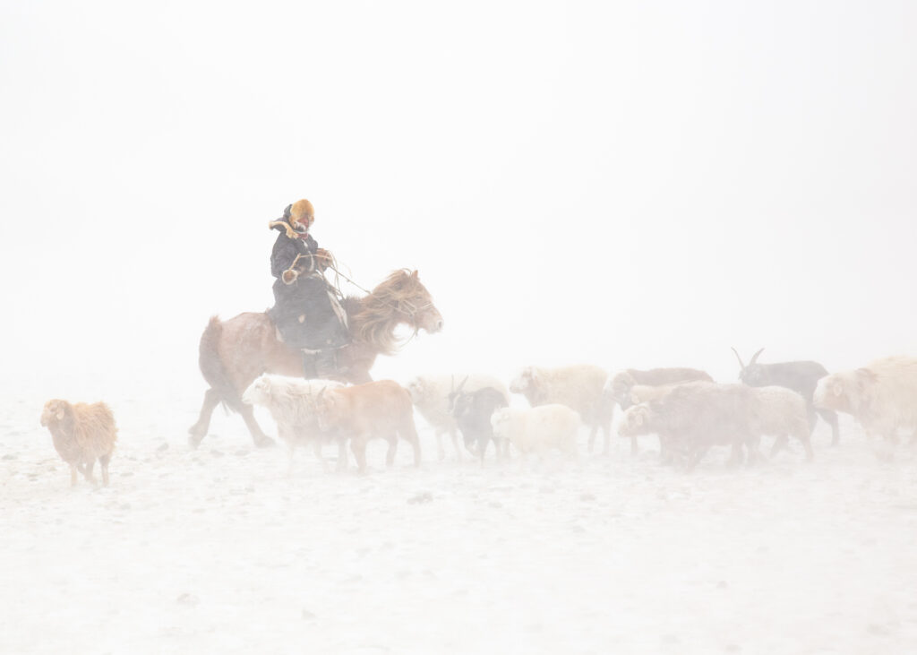 Frame 5 of 15 from Extreme Living – The Winter Migration, a photo essay by Alessandra Manzotti