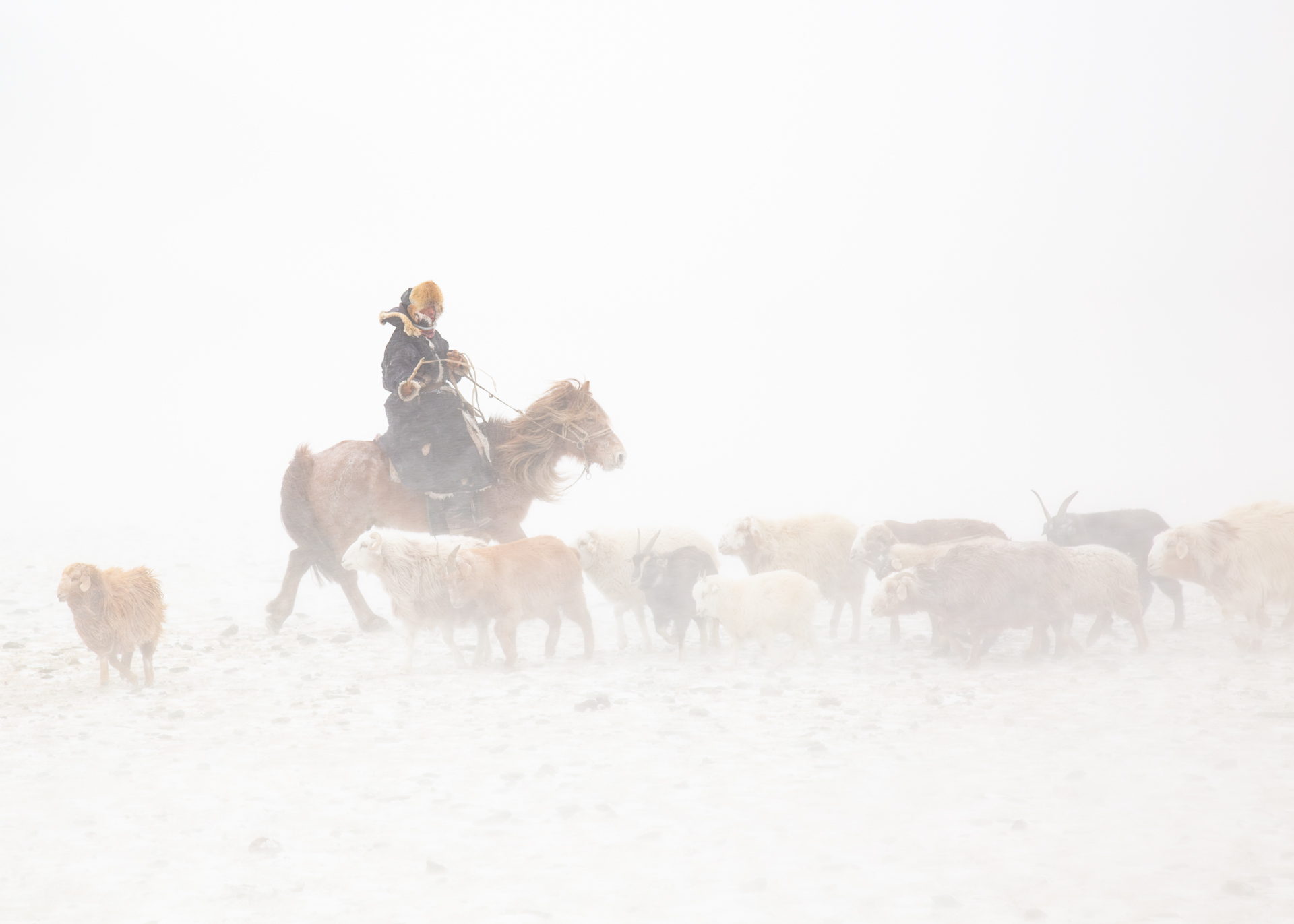 Frame 5 of 15 from Extreme Living – The Winter Migration, a photo essay by Alessandra Manzotti