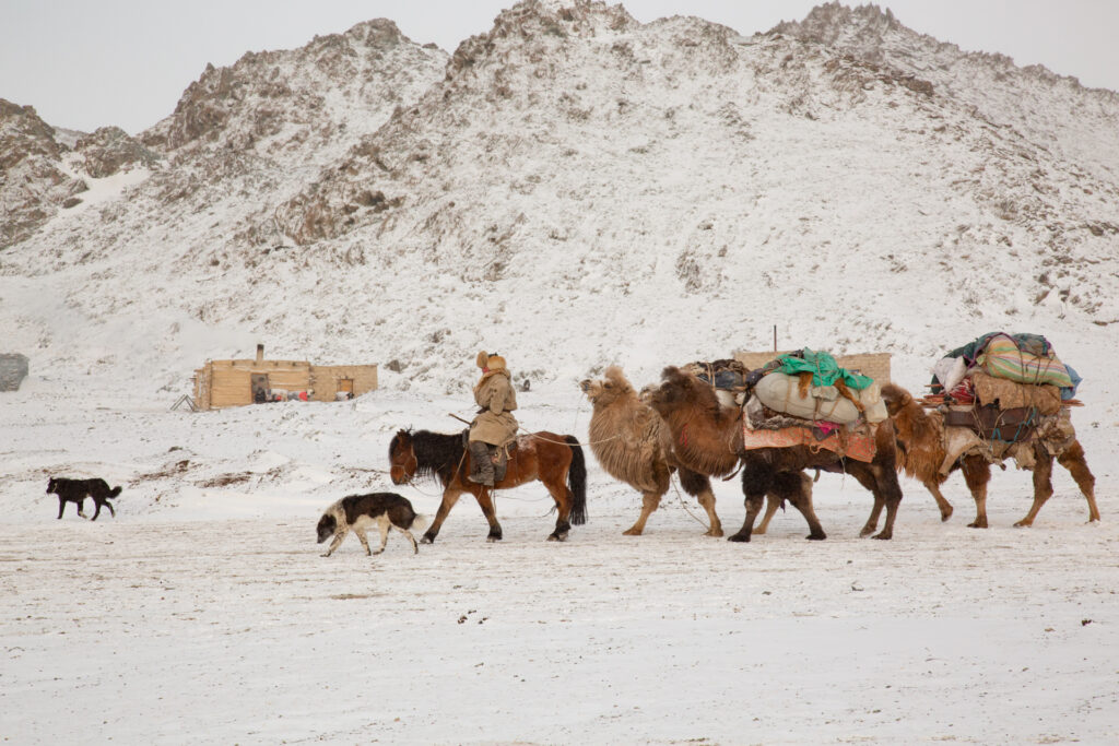 Frame 7 of 15 from Extreme Living – The Winter Migration, a photo essay by Alessandra Manzotti