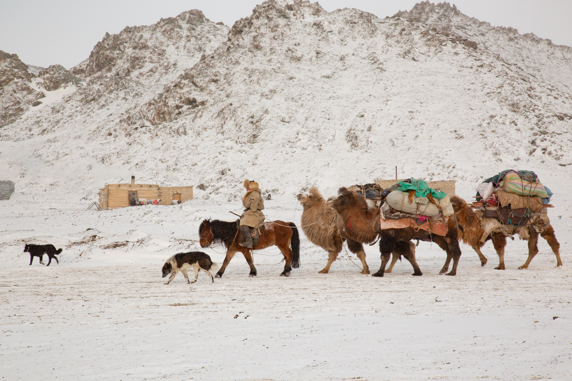 Frame 7 of 15 from Extreme Living – The Winter Migration, a photo essay by Alessandra Manzotti
