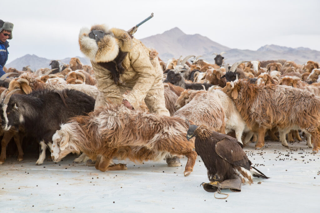 Frame 8 of 15 from Extreme Living – The Winter Migration, a photo essay by Alessandra Manzotti