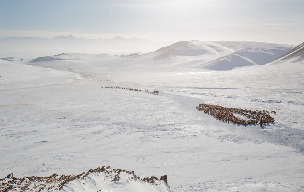 Frame 9 of 15 from Extreme Living – The Winter Migration, a photo essay by Alessandra Manzotti