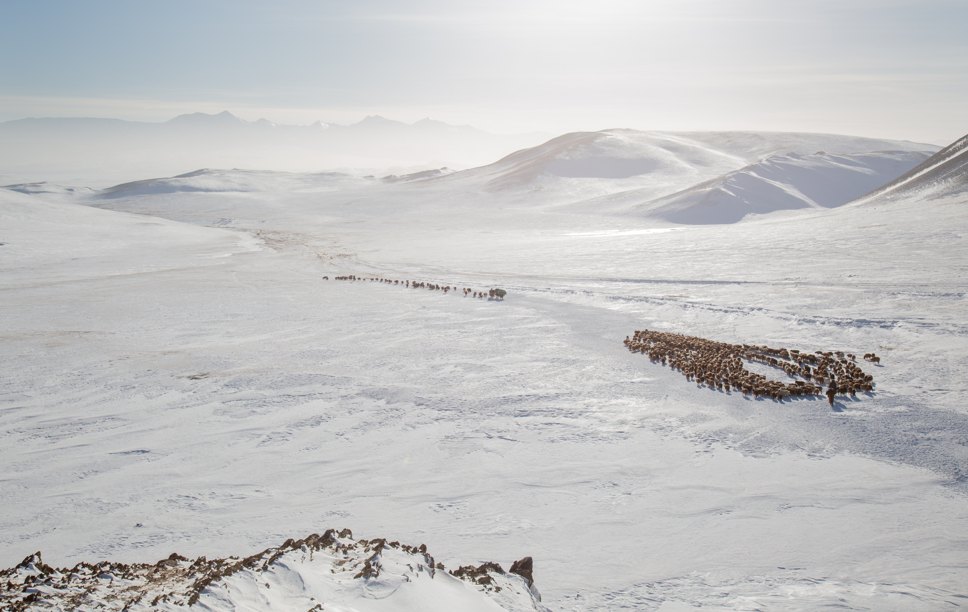 Frame 9 of 15 from Extreme Living – The Winter Migration, a photo essay by Alessandra Manzotti