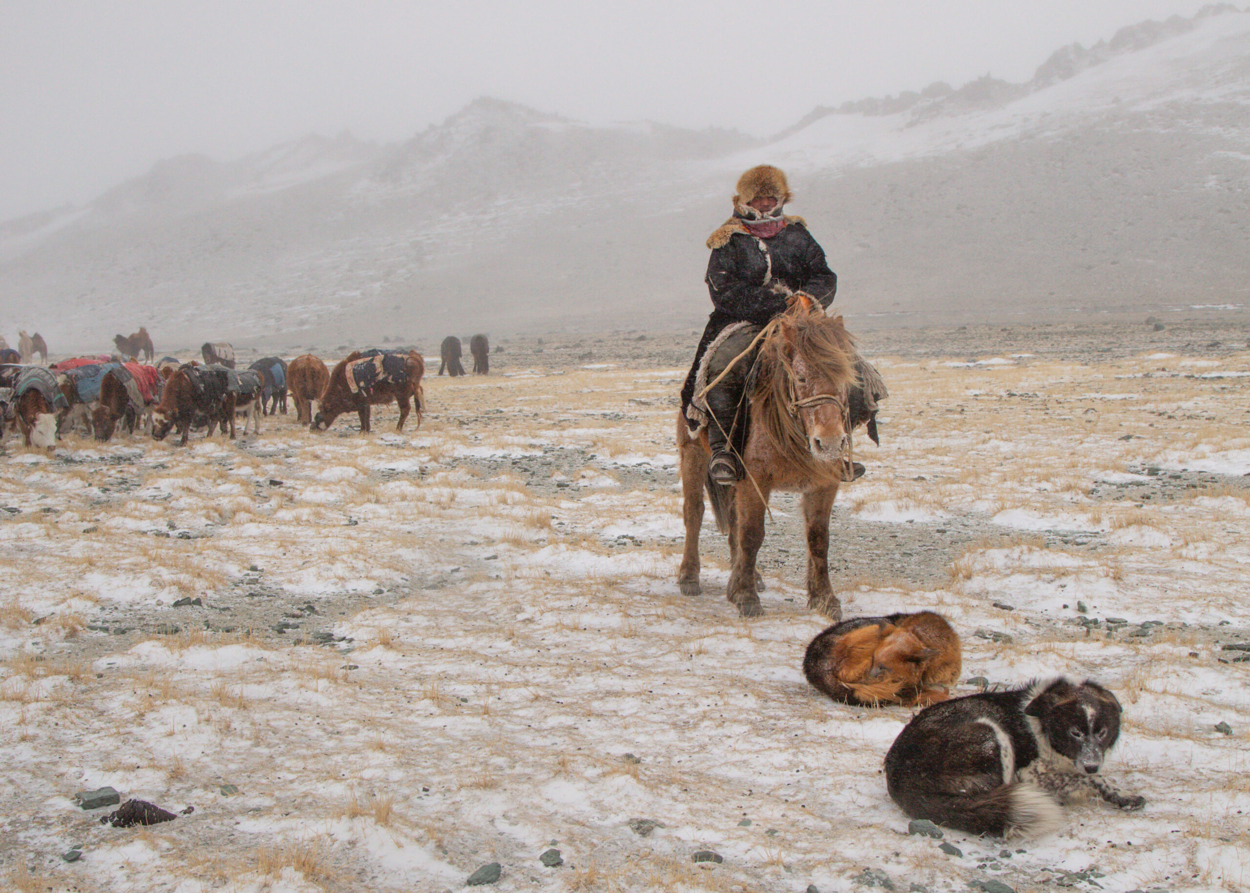 Frame 14 of 15 from Extreme Living – The Winter Migration, a photo essay by Alessandra Manzotti