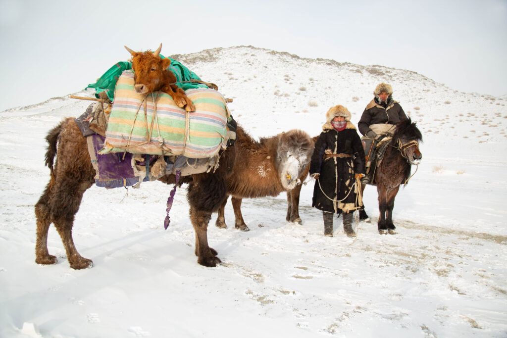 Frame 15 of 15 from Extreme Living – The Winter Migration, a photo essay by Alessandra Manzotti