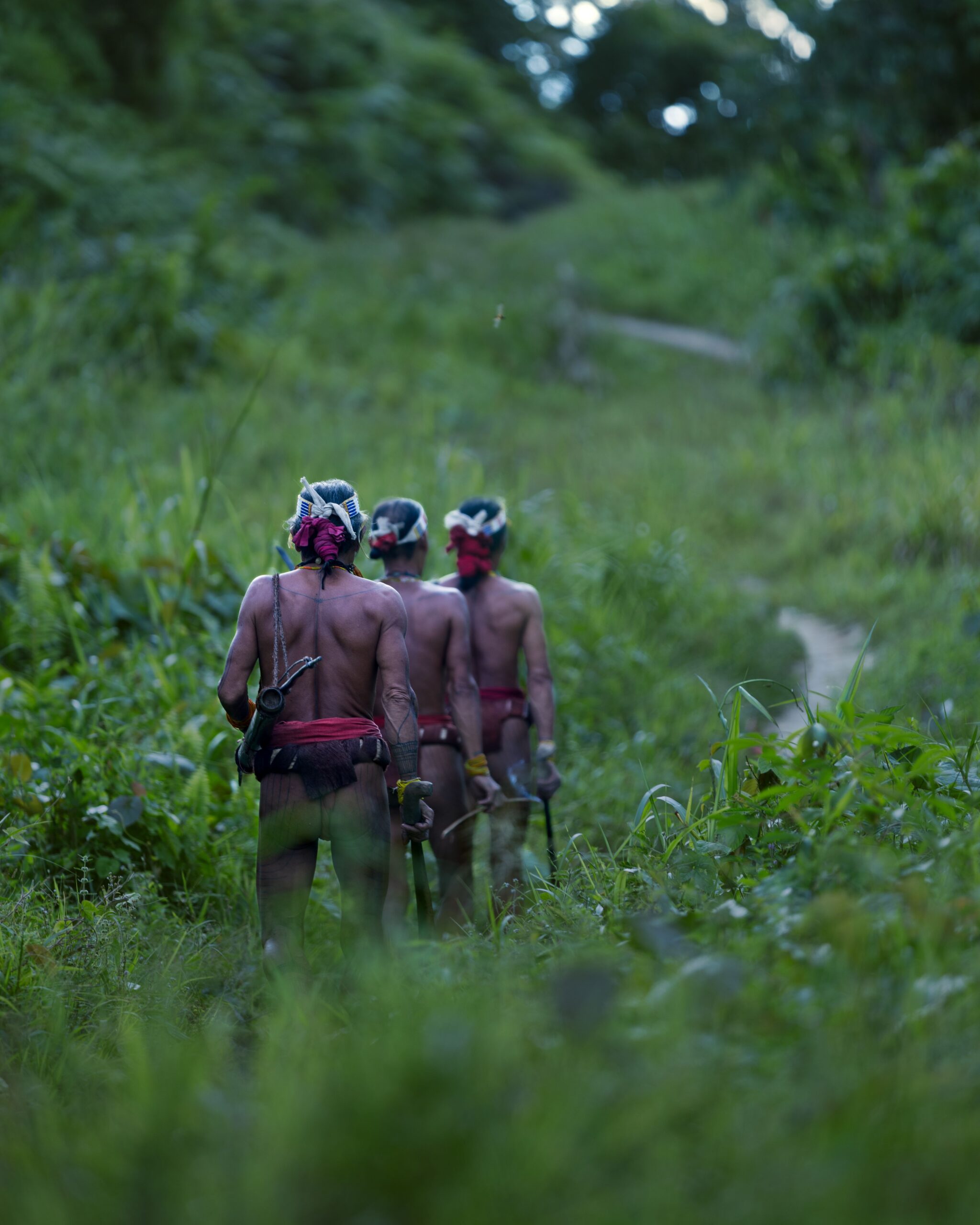 Frame 15 of 15 from Mentawai: Shadows of the Rainforest, a photo essay by Shanish Mishra