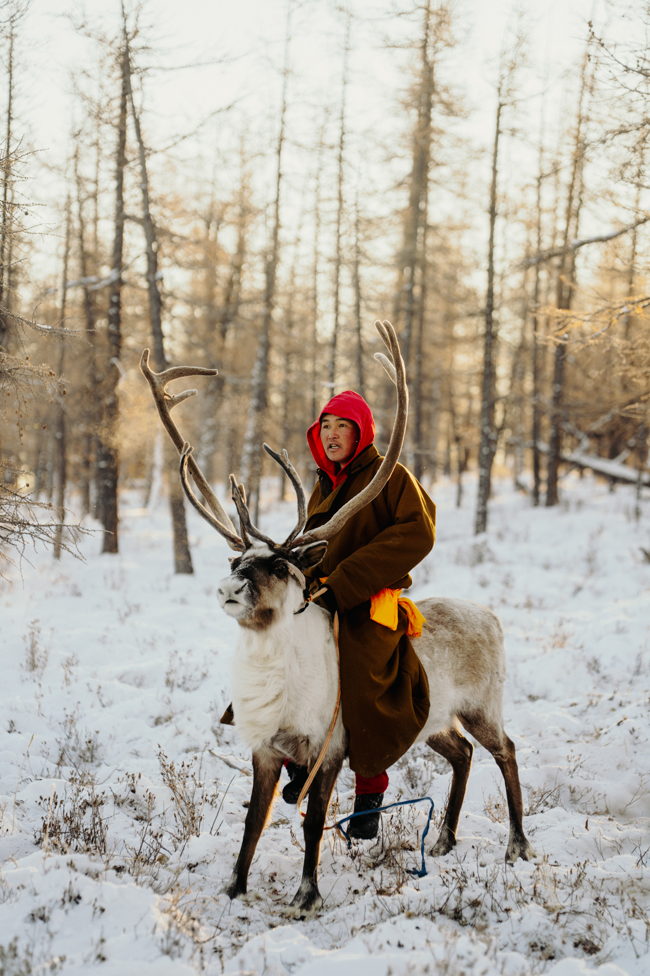 Frame 7 of 15 from The Tsaatan, a photo essay by Mikael And Amanda