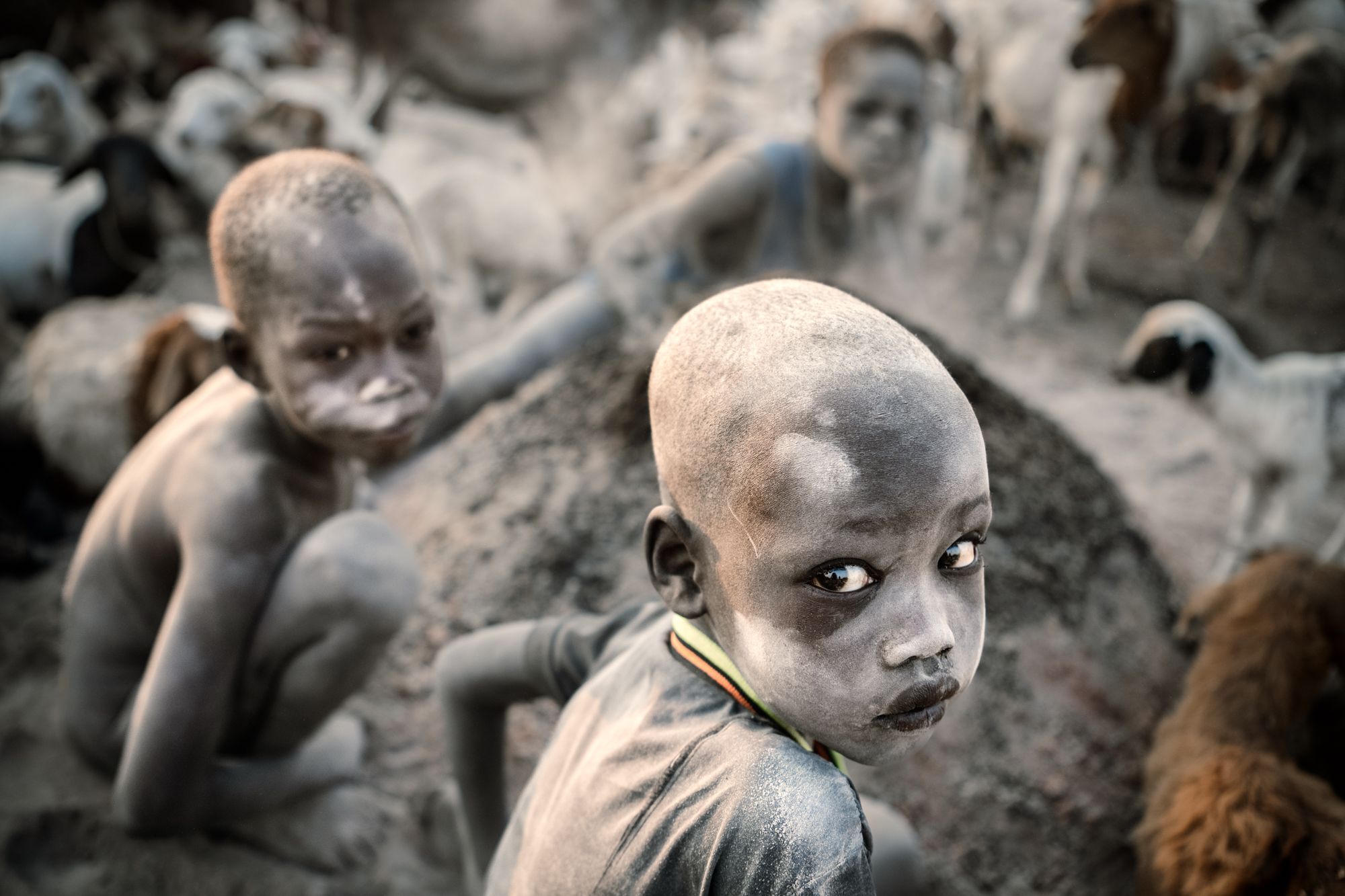 Frame 11 of 15 from Pastoral Peoples and Practices, a photo essay by Trevor Cole