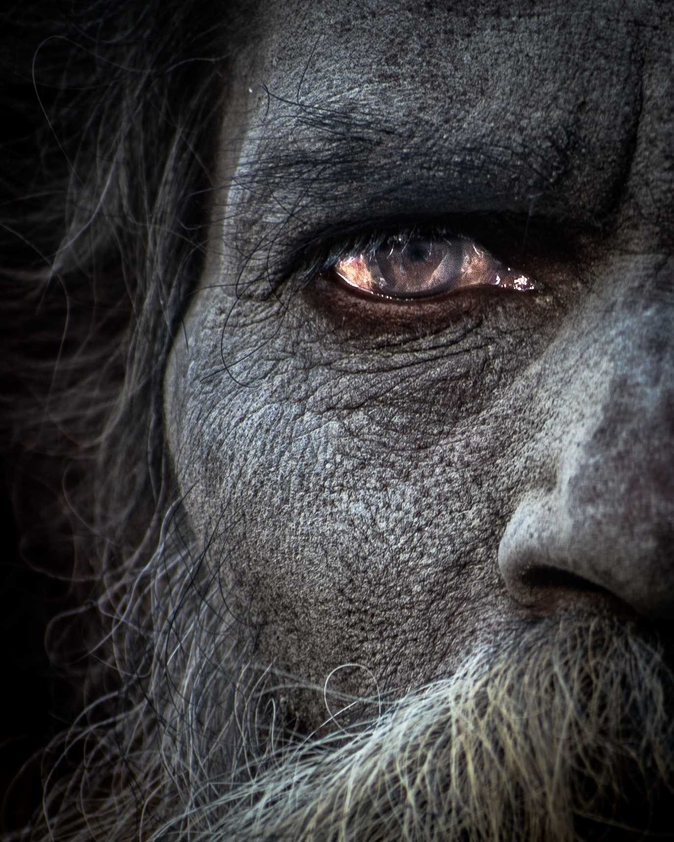 Man, eyes, skin, hair. Portrait photograph by Jayanta Roy, winner of the Shoot The Frame Portrait photography award, January 2014