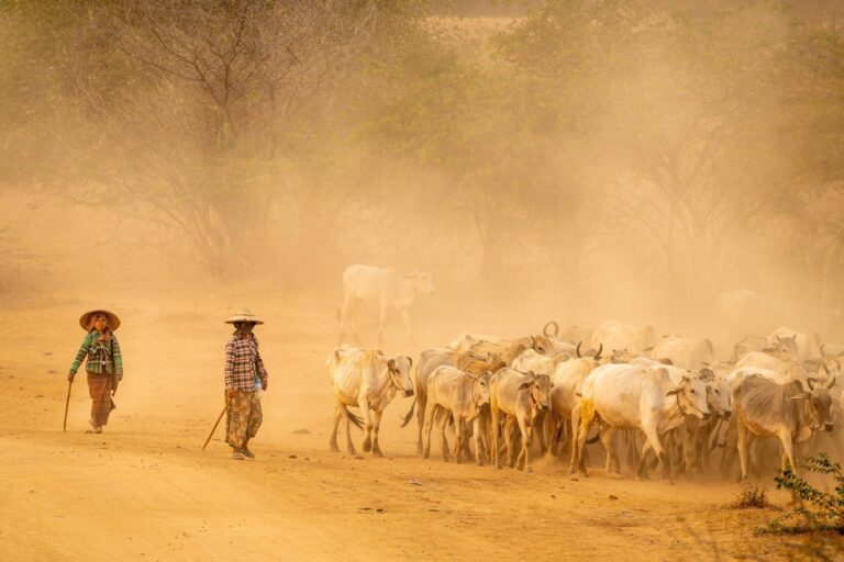 The Herders. Portrait photograph by Grant Hunt, finalist in the Shoot The Frame Portrait photography award, November 2020