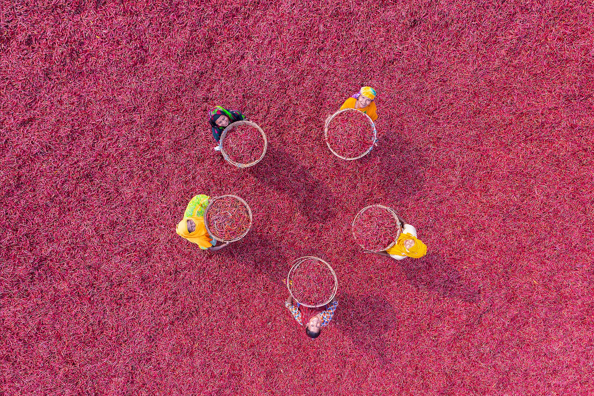 Dried pepper, Bangladesh. Portrait photograph by Tanvir Alam, finalist in the Shoot The Frame Portrait photography award, March 2021