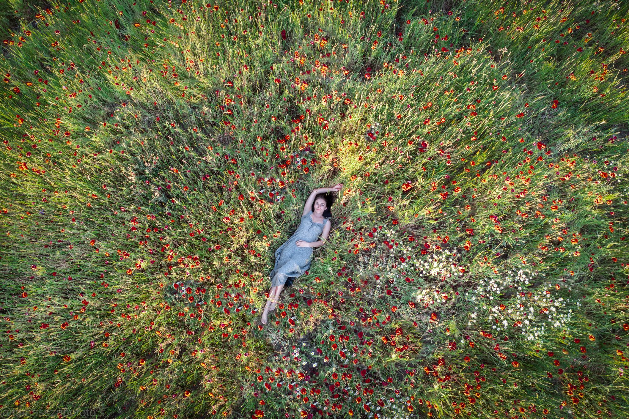 In the poppyfield, Budapest, Régi Fóti út, Hungary. Portrait photograph by Tamas Szabo-Ambrus, finalist in the Shoot The Frame Portrait photography award, June 2022