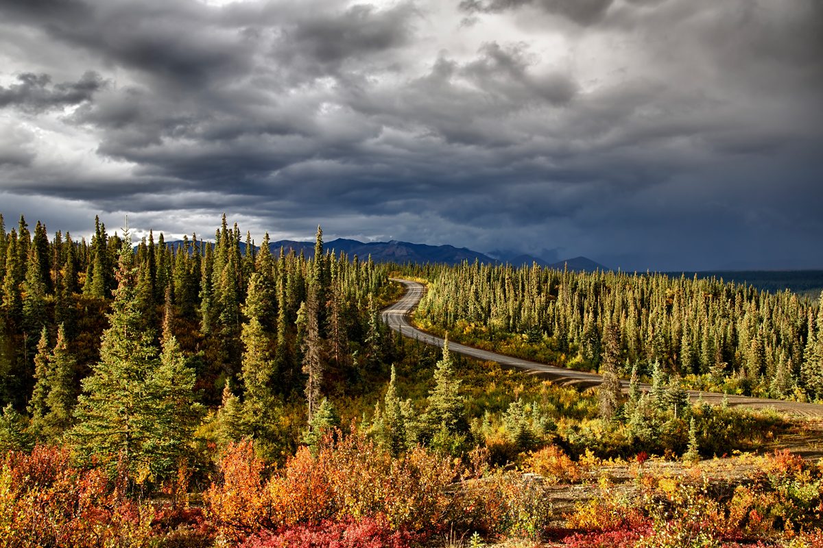 Trees, cross roads, green, sky. Landscape photograph by Ed Boudreau, finalist in the Shoot The Frame Landscape photography award, January 2014