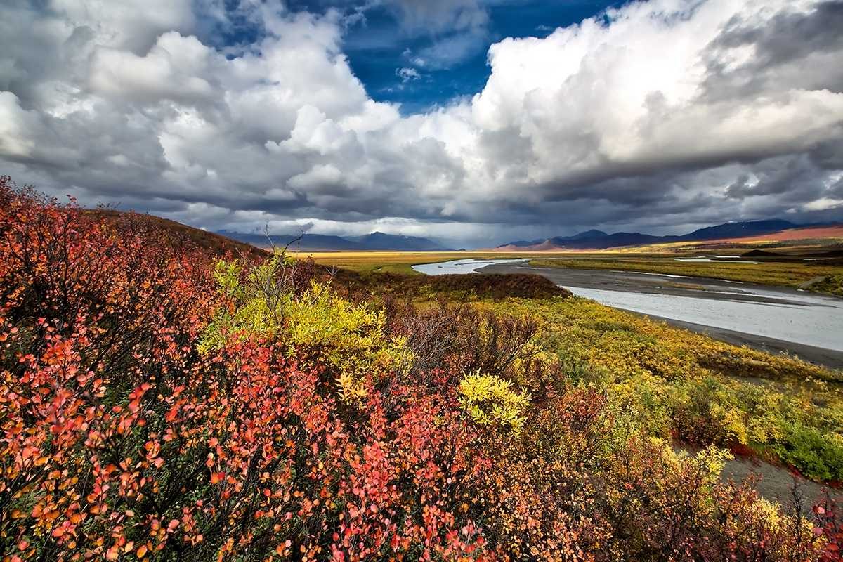 Flowers, clouds, colors. Landscape photograph by Ed Boudreau, finalist in the Shoot The Frame Landscape photography award, April 2014