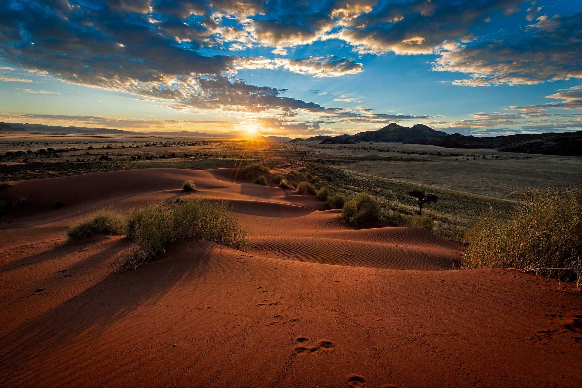 Lights, sun, rays, sand. Landscape photograph by Teresa Nel, finalist in the Shoot The Frame Landscape photography award, August 2014