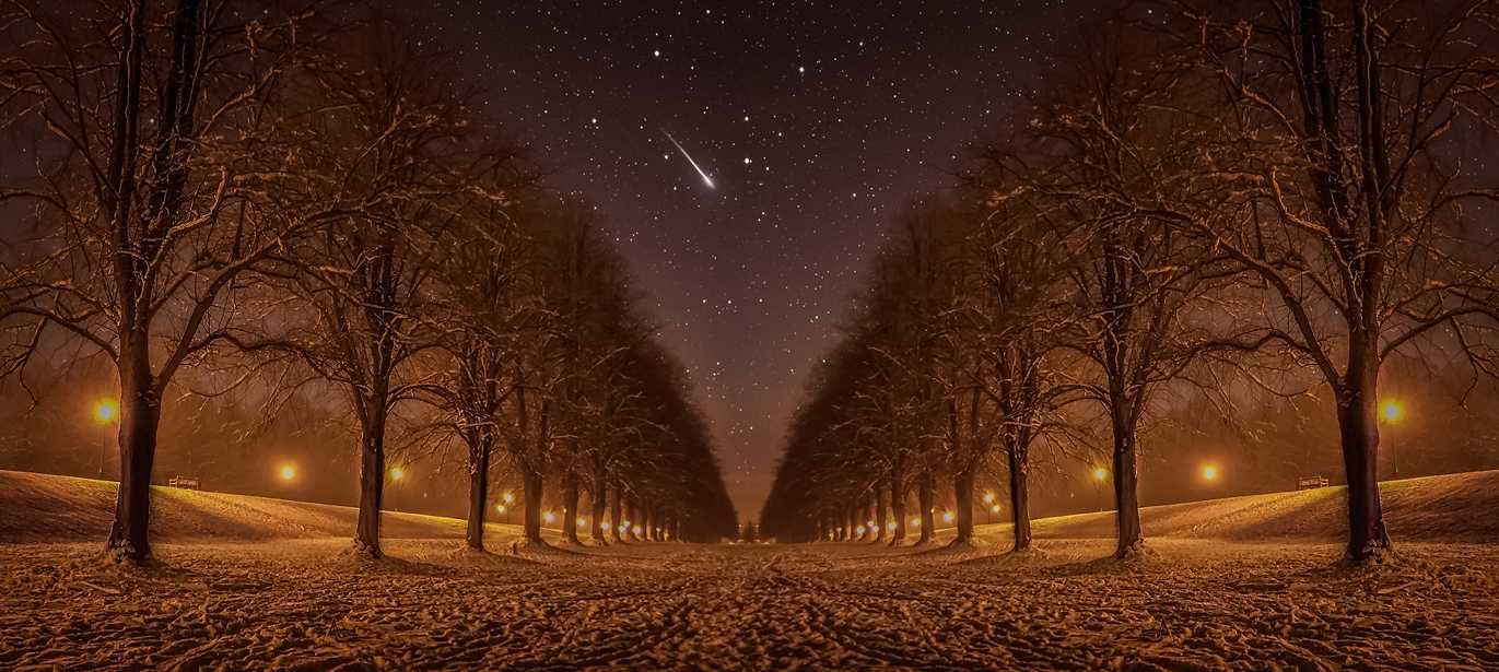 Trees, land, lights, row. Landscape photograph by Norman Quinn, finalist in the Shoot The Frame Landscape photography award, February 2015