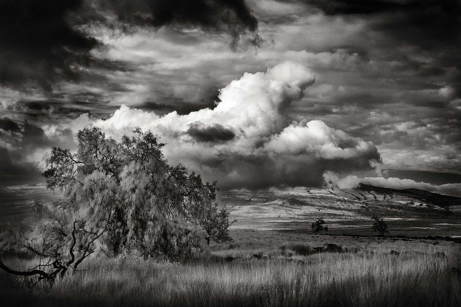 Clouds, grass, hills. Landscape photograph by Scott Hoyle, finalist in the Shoot The Frame Landscape photography award, October 2015
