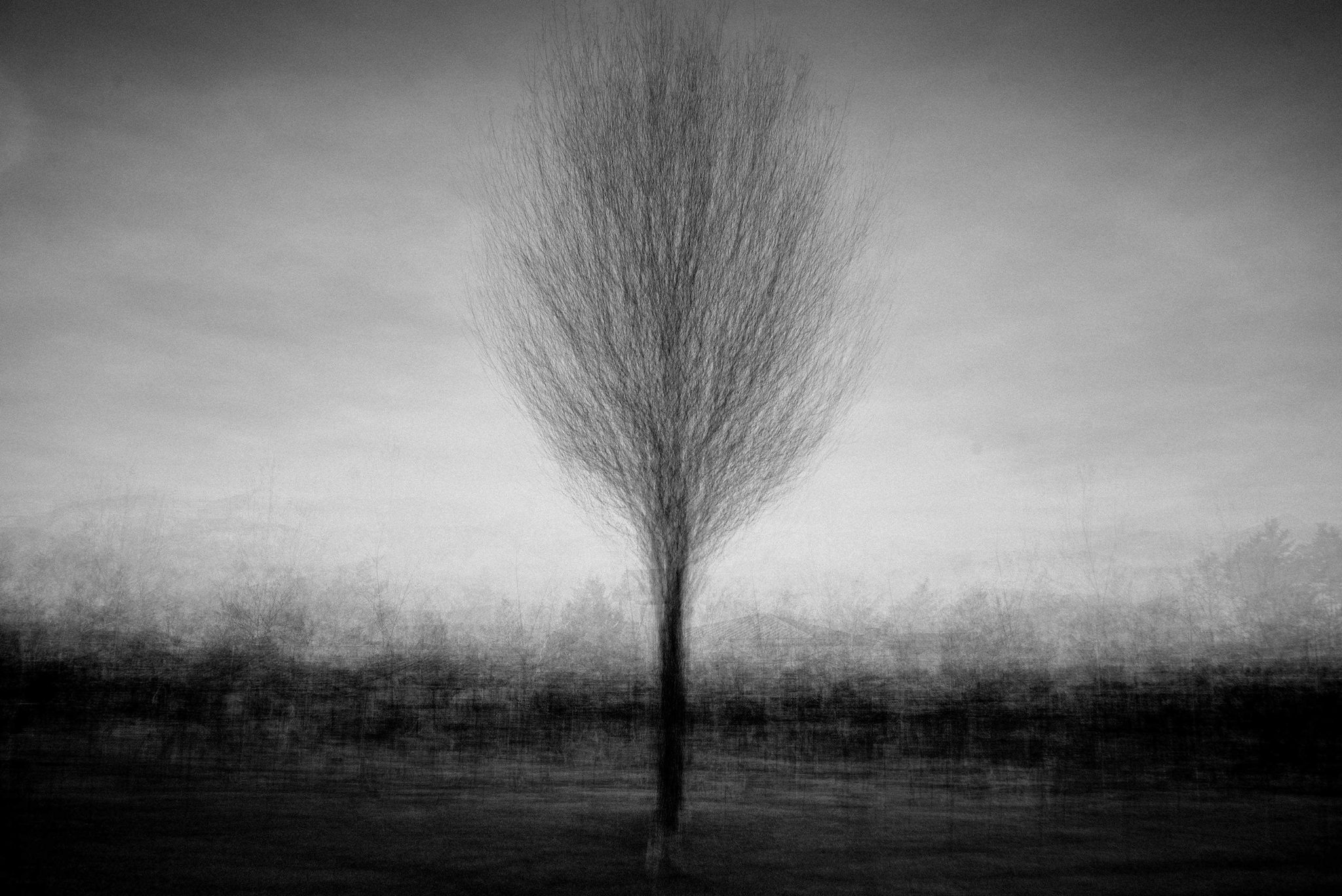 Trees, water, dark. Landscape photograph by David Morales, finalist in the Shoot The Frame Landscape photography award, March 2016