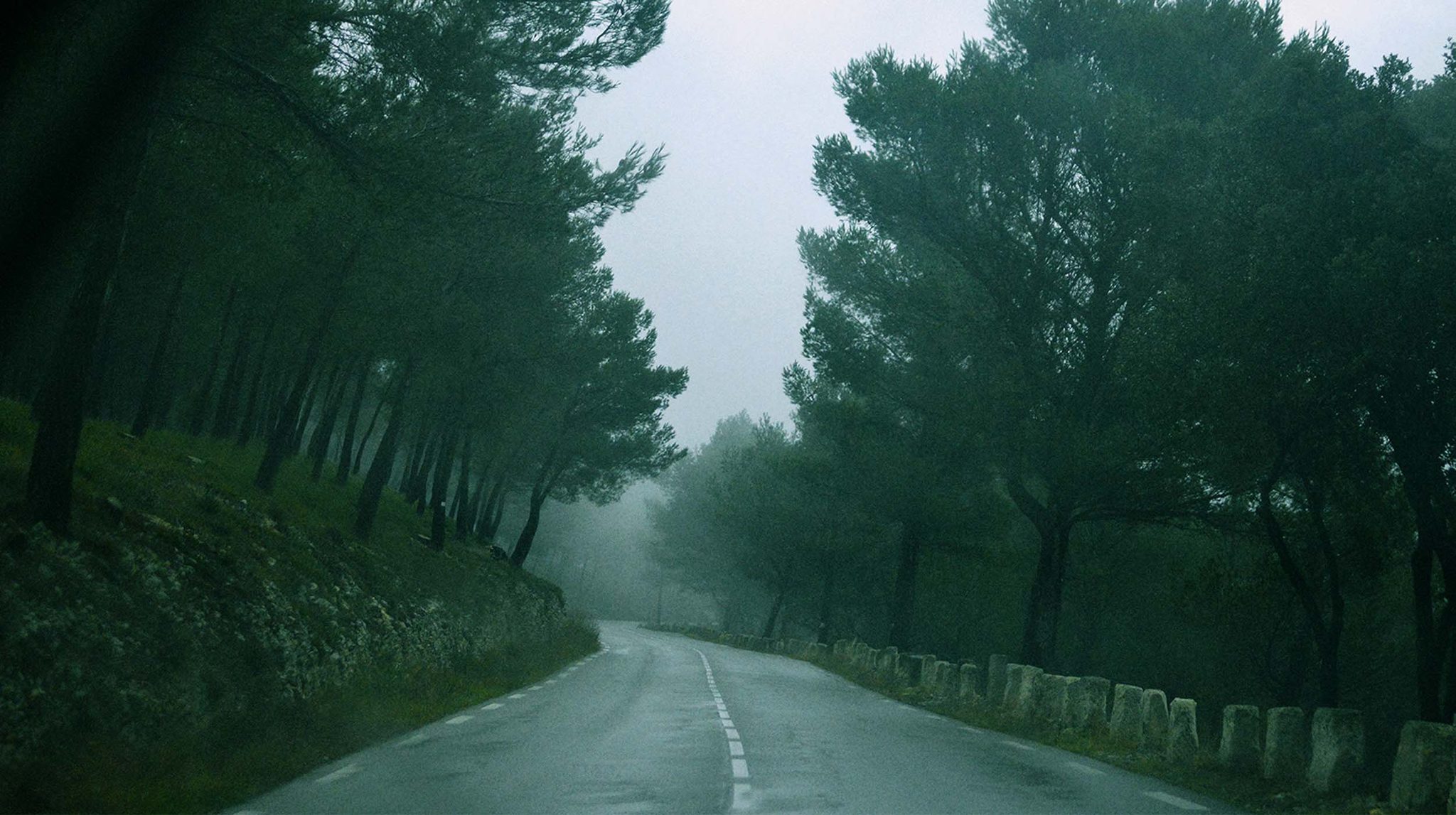 Road, trees, way. Landscape photograph by Emma Rateau, finalist in the Shoot The Frame Landscape photography award, March 2017