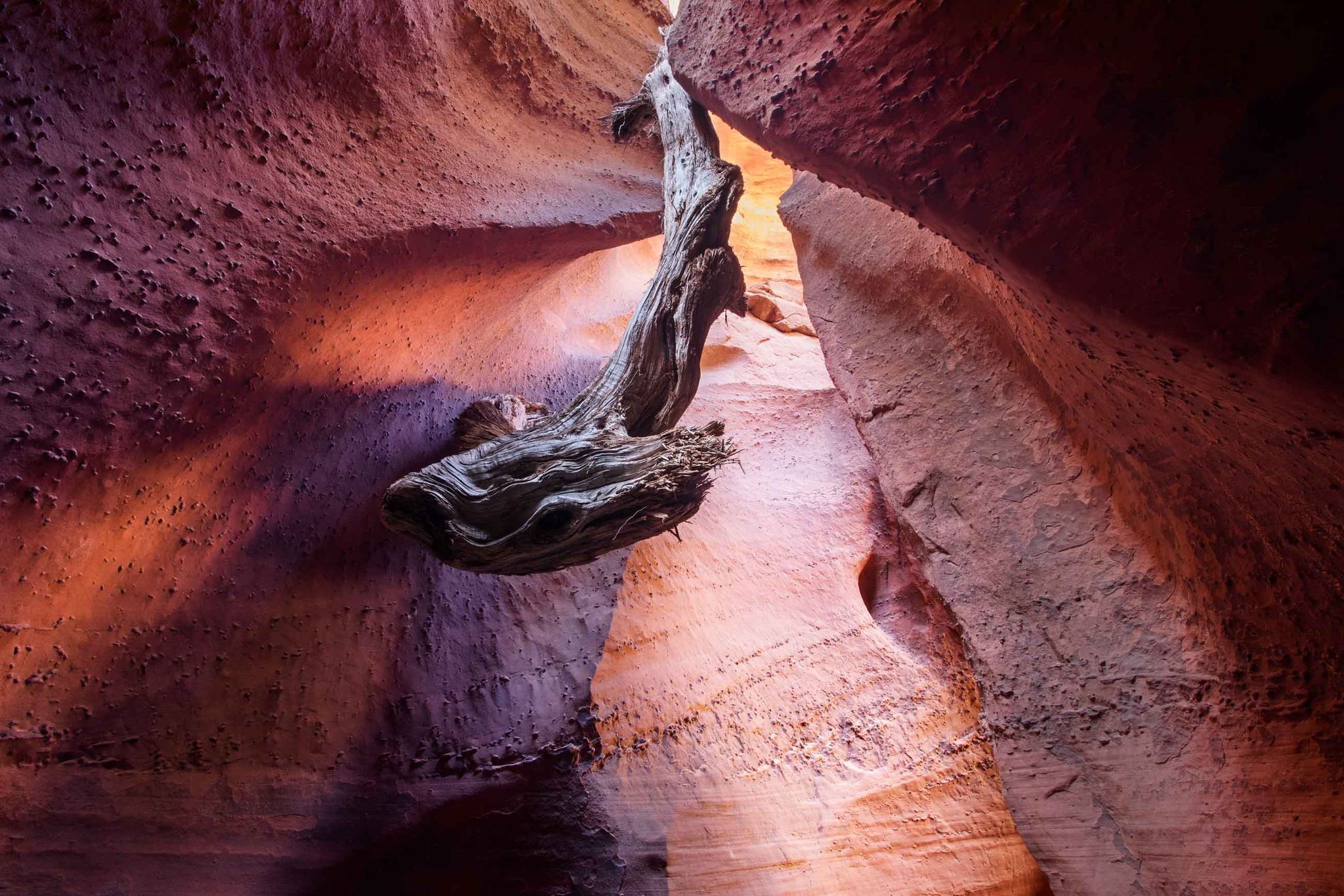 Branch, wood, rocks. Landscape photograph by Tom Cuccio, finalist in the Shoot The Frame Landscape photography award, April 2017