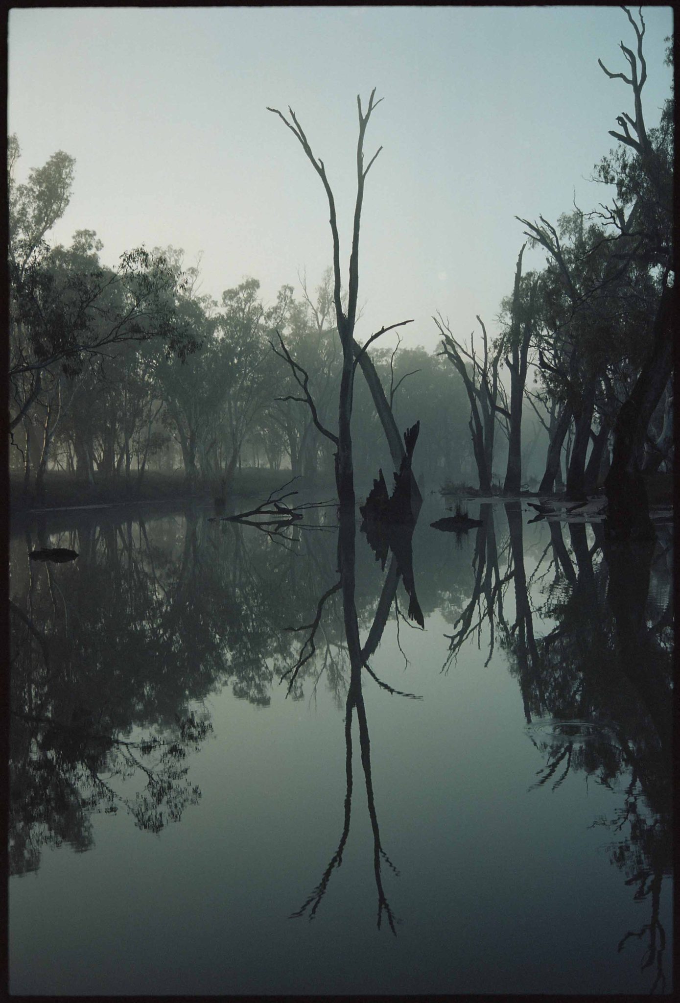 Lake, trees, trees with no leaves. Landscape photograph by Damian Seagar, finalist in the Shoot The Frame Landscape photography award, August 2017