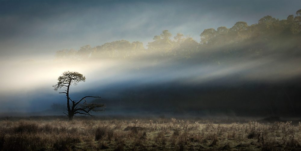 Trees, grass, clouds. Landscape photograph by Margaret Edwards, finalist in the Shoot The Frame Landscape photography award, October 2018