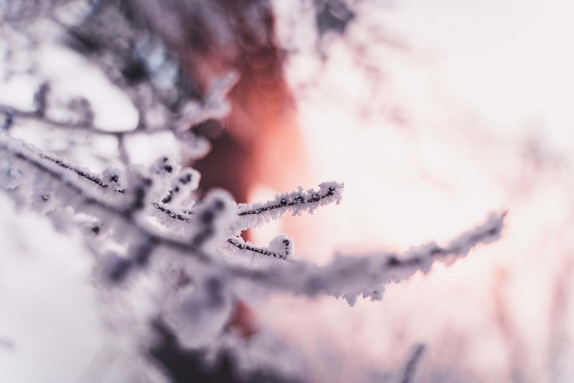 Landscape photograph by Josh Alex, finalist in the Shoot The Frame Landscape photography award, April 2019
