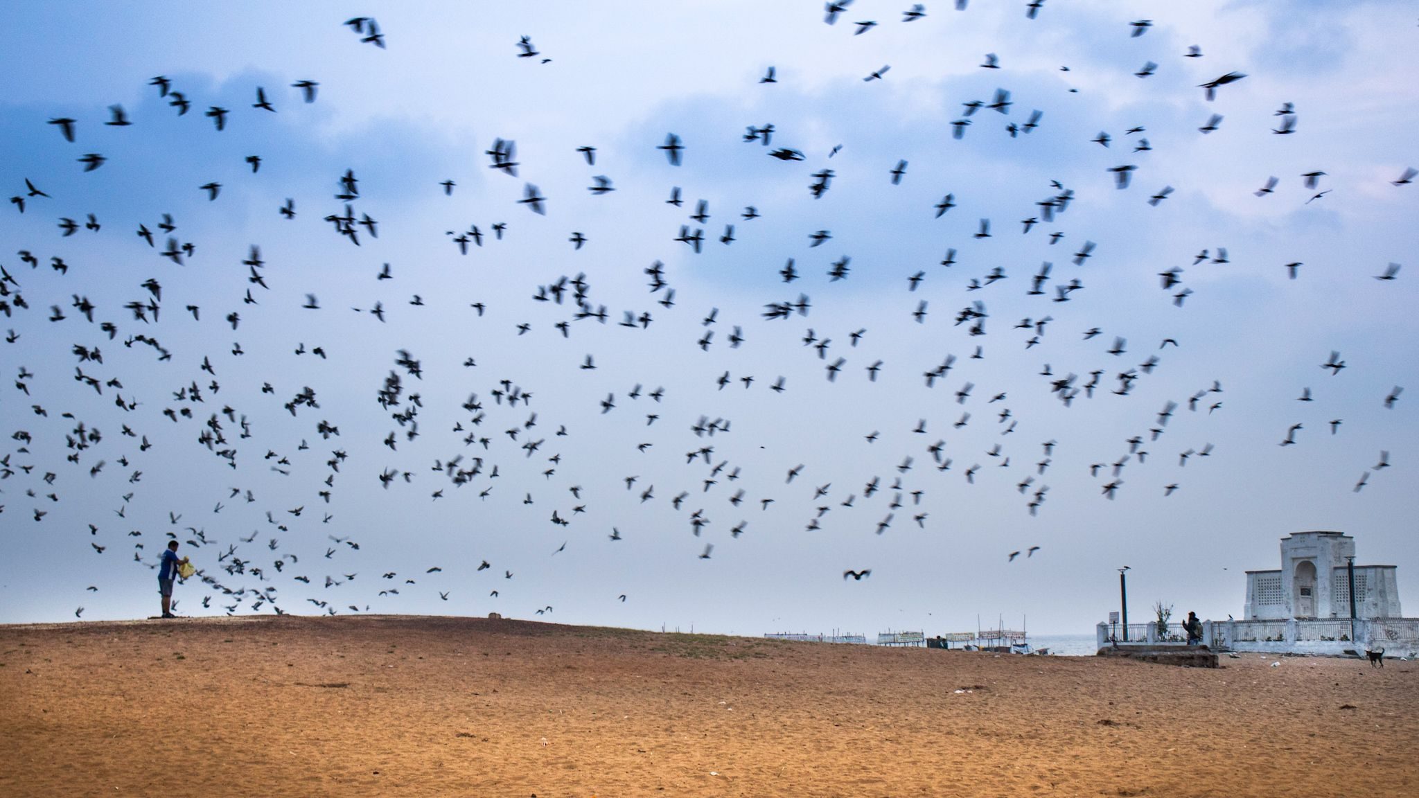 Landscape photograph by Vasanthy Shrikanth, finalist in the Shoot The Frame Landscape photography award, April 2019
