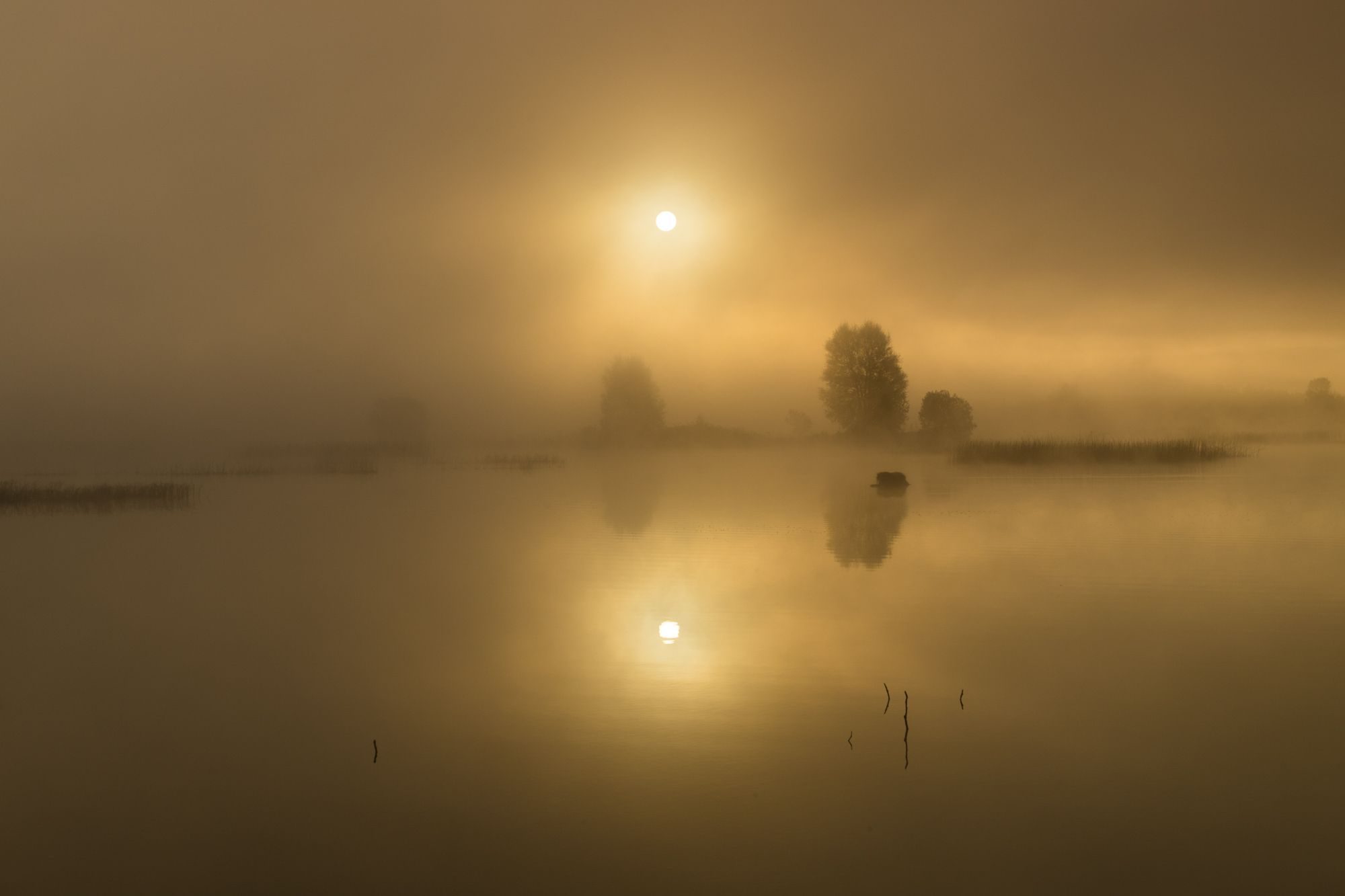 Landscape photograph by Todor Tilev, finalist in the Shoot The Frame Landscape photography award, July 2019