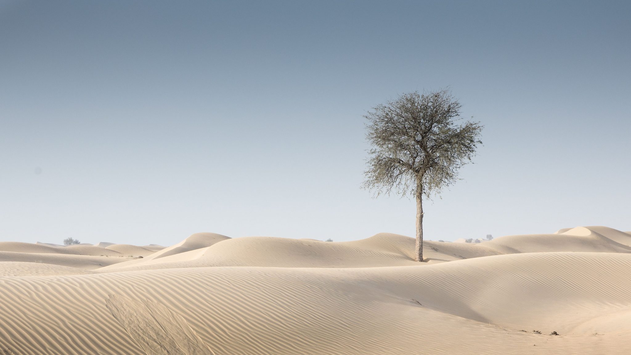SILENCE . ., Dubai - United Arab Emirates. Landscape photograph by Joke de Jager, finalist in the Shoot The Frame Landscape photography award, February 2020