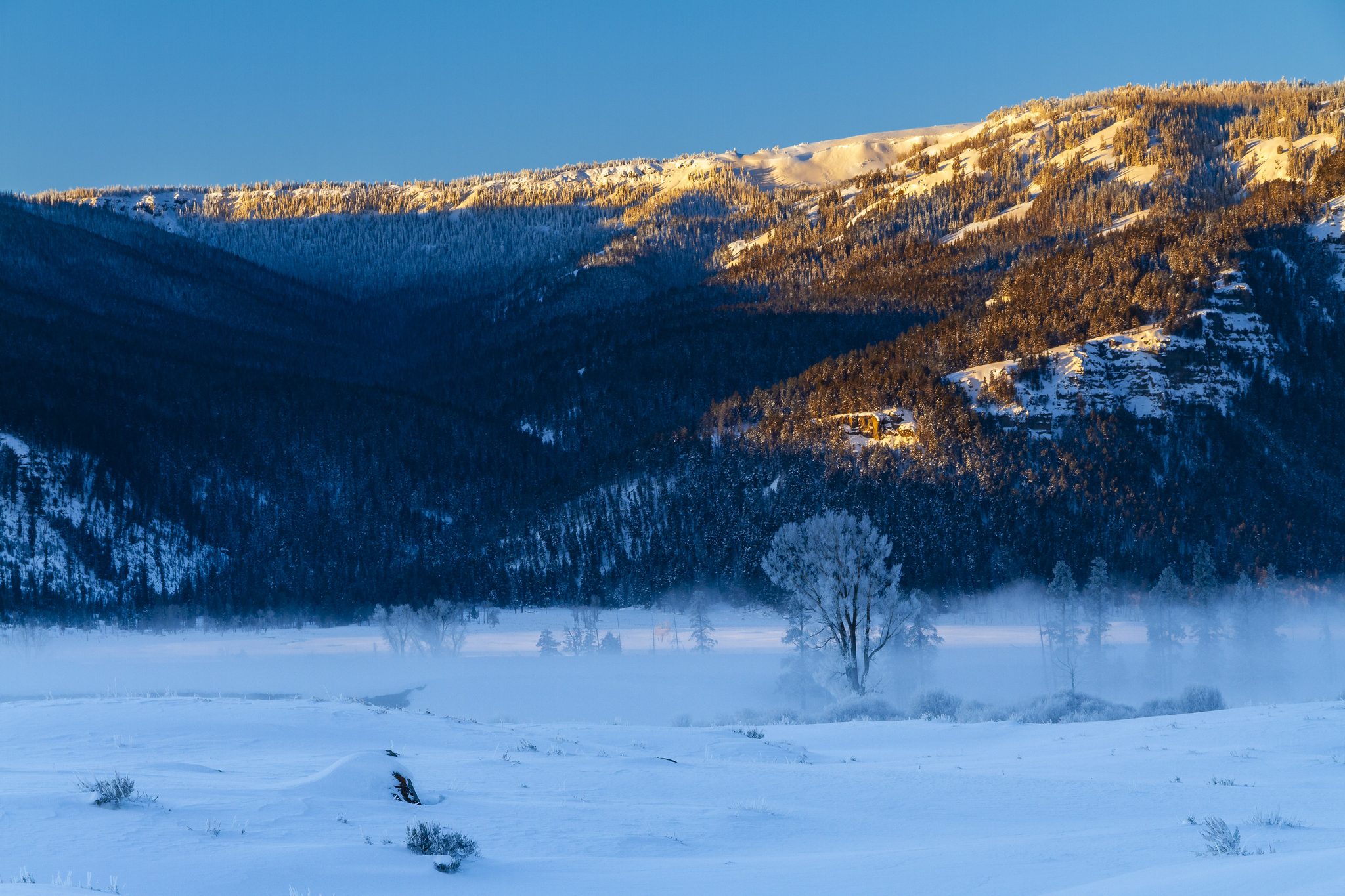 Morning Mist. Landscape photograph by Shane Morrison, finalist in the Shoot The Frame Landscape photography award, March 2020