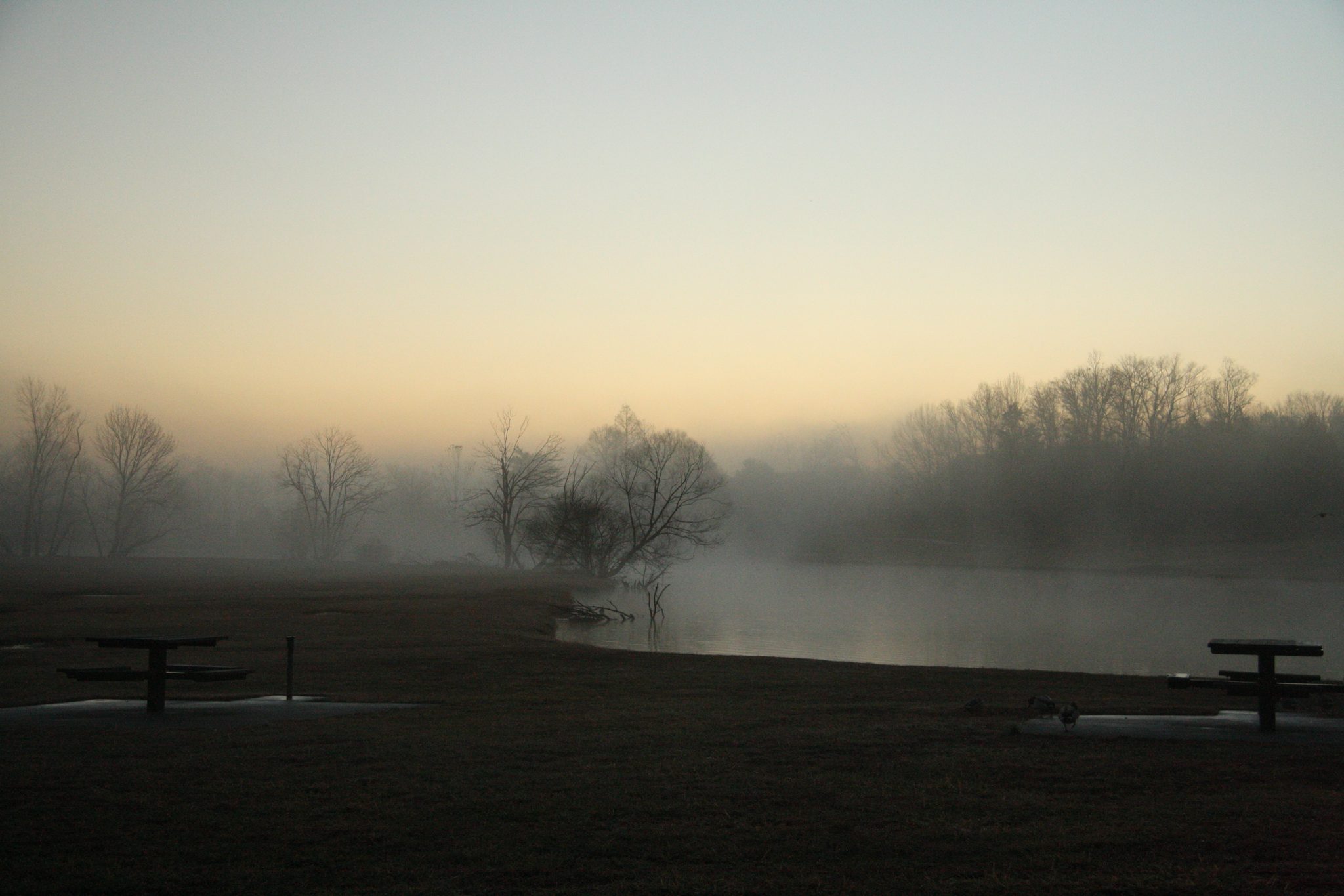 Morning, Nashville, TN. Landscape photograph by Morgan Miller, finalist in the Shoot The Frame Landscape photography award, January 2021