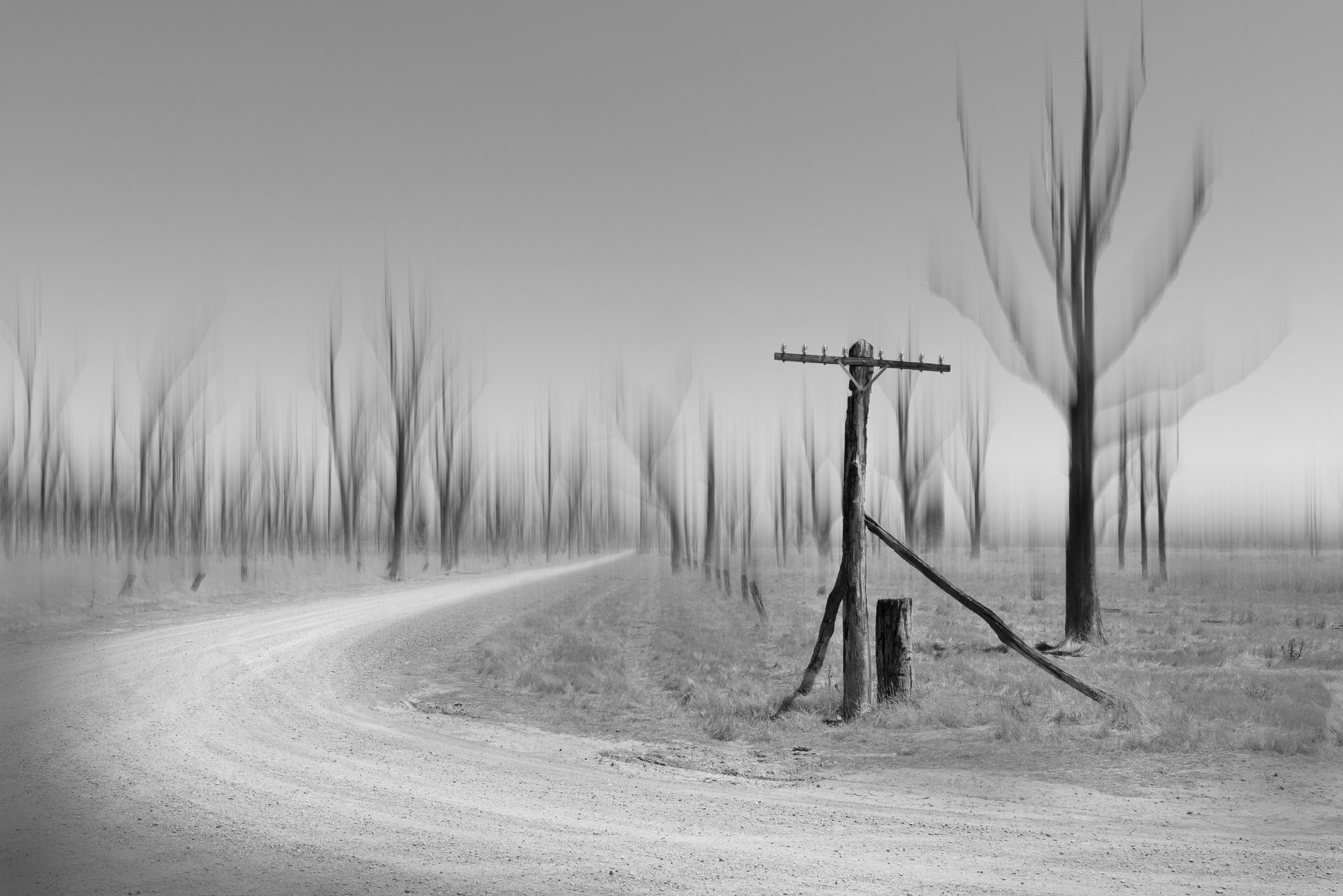 After the Flood, Lake Mokoan Rd, Chesney Vale VIC 3725, Australia. Landscape photograph by Steve Day, finalist in the Shoot The Frame Landscape photography award, January 2021