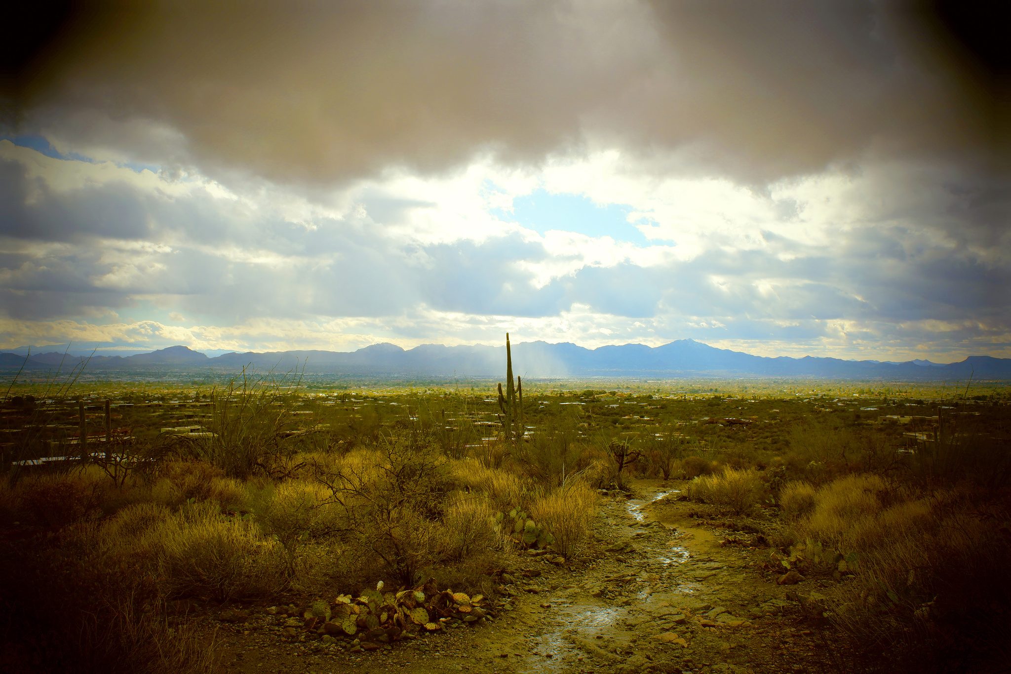 Half-day Getaway, Tucson, AZ, USA. Landscape photograph by David Del Grande, finalist in the Shoot The Frame Landscape photography award, May 2021