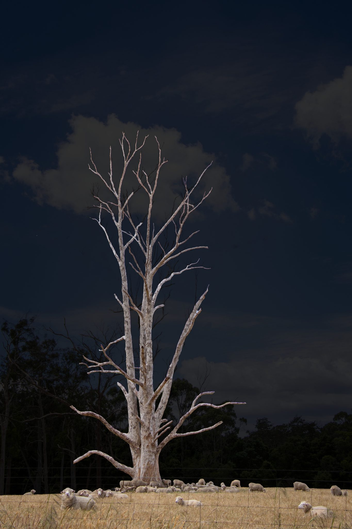 Dry Summer, Tasmania, Australia. Landscape photograph by Karen Sharman, finalist in the Shoot The Frame Landscape photography award, December 2021