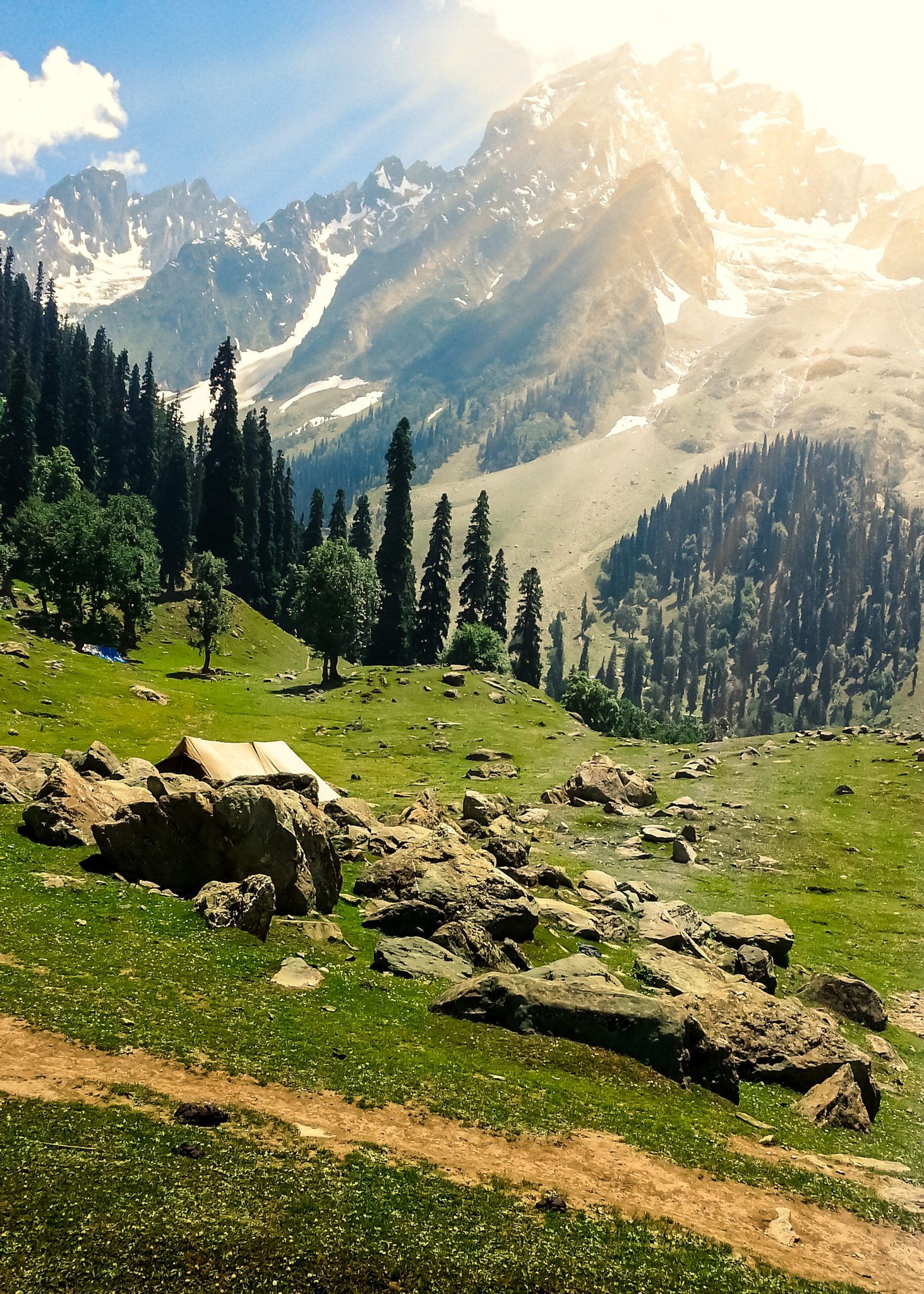 Meadows of gold, Sonamarg. Landscape photograph by Sameer Gupta, finalist in the Shoot The Frame Landscape photography award, February 2022