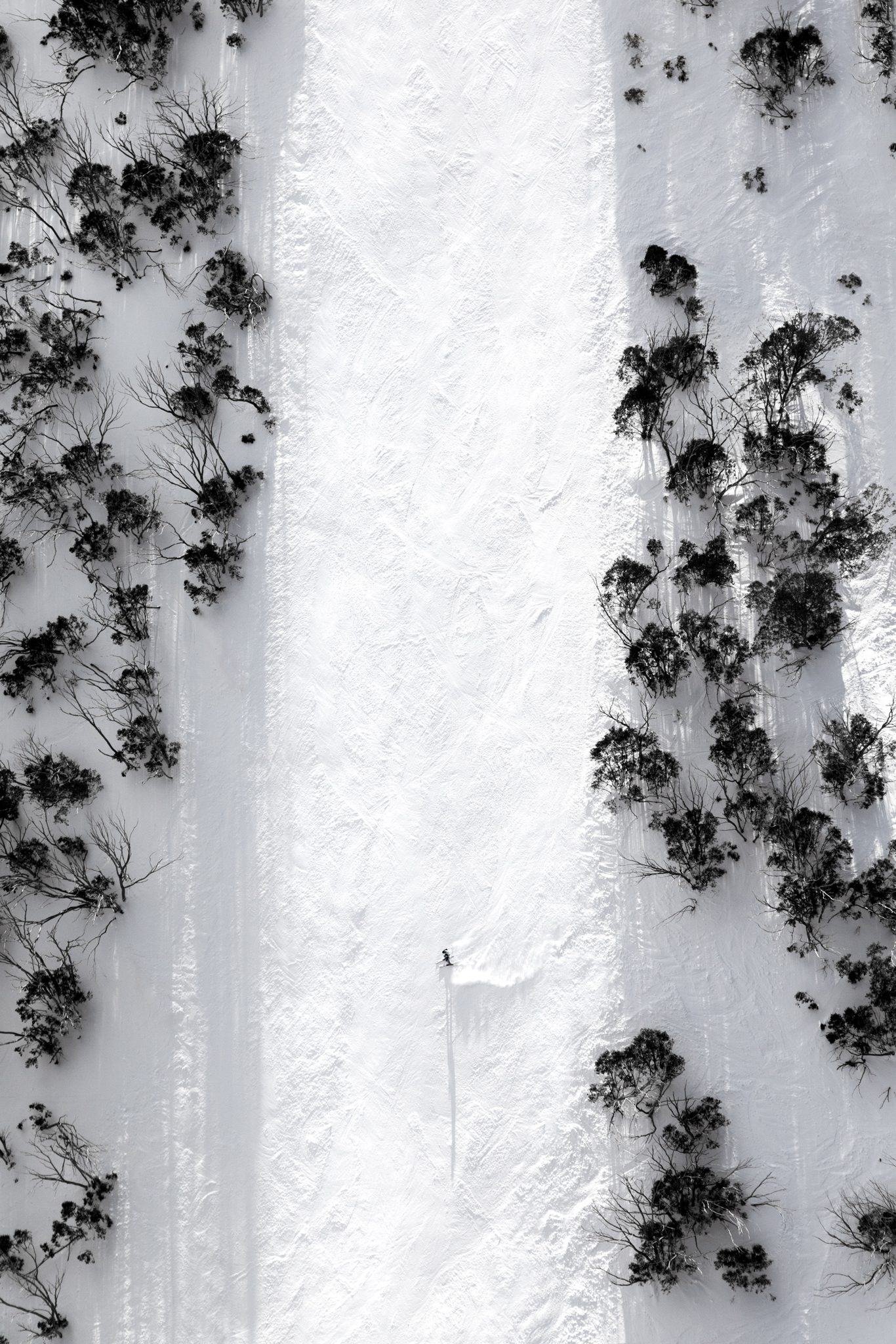 Alpine 5. Landscape photograph by Penny Prangnell, finalist in the Shoot The Frame Landscape photography award, May 2022