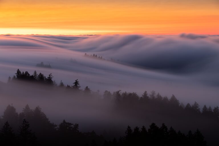 Fog flow. Landscape photograph by Jinghua Li, finalist in the Shoot The Frame Landscape photography award, July 2022