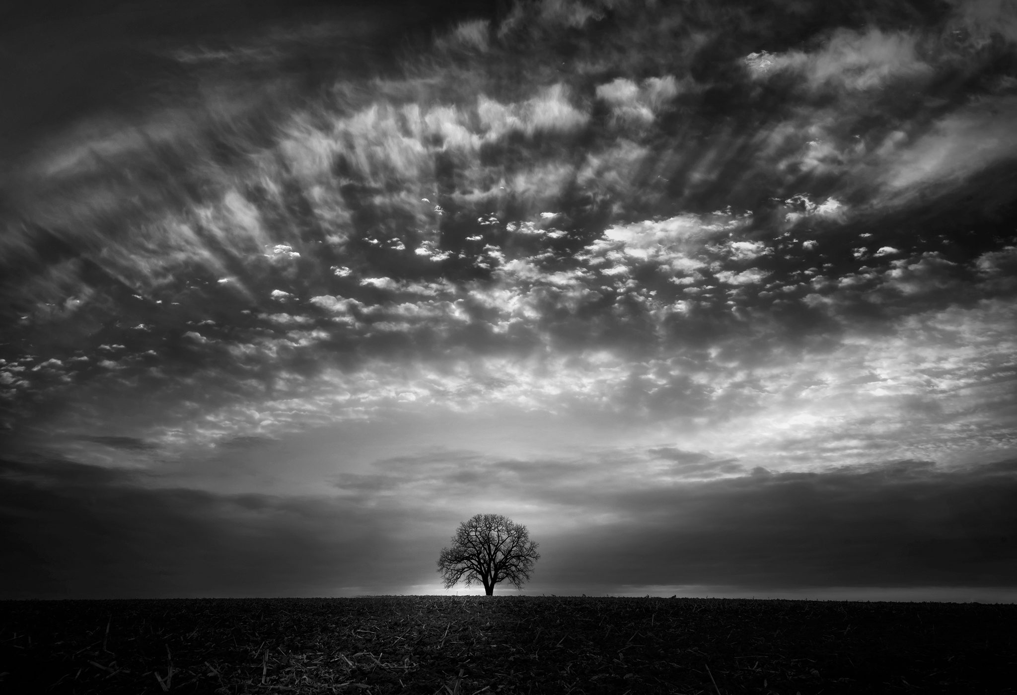 Lonely Tree with dancing cloud. Landscape photograph by Leeian Dai, finalist in the Shoot The Frame Landscape photography award, February 2023