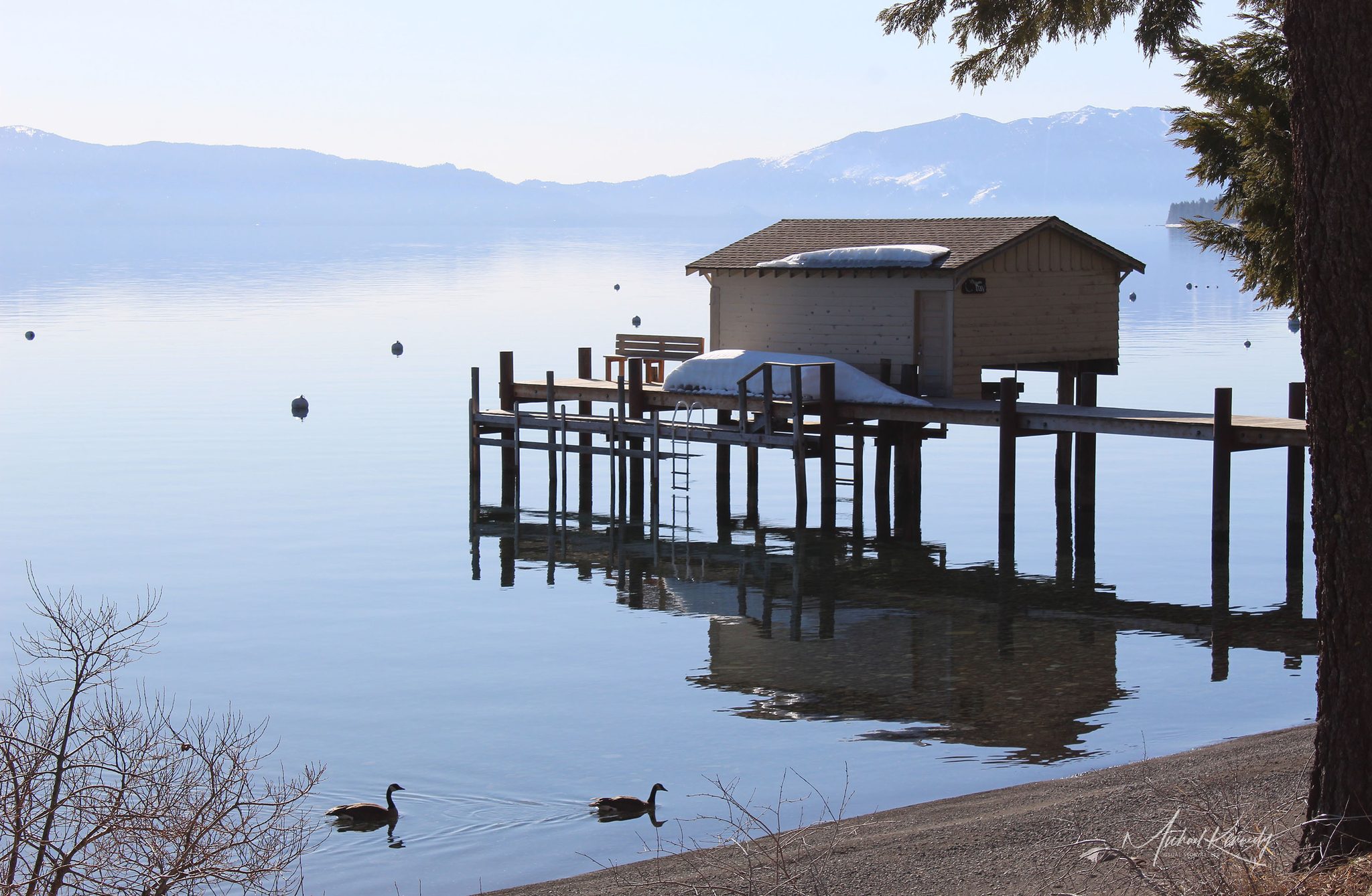 Peace, Tahoe City, CA, USA. Landscape photograph by Michael Kennedy, finalist in the Shoot The Frame Landscape photography award, May 2023
