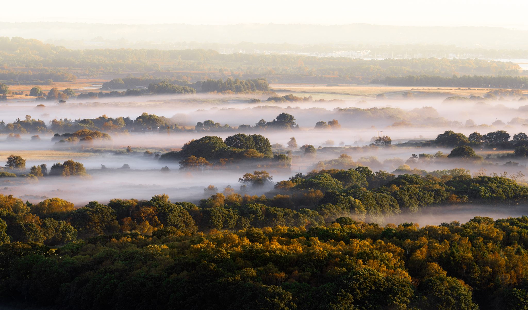 Dawn mist, Corfe Castle, Wareham BH20, UK. Landscape photograph by Tim Burgess, finalist in the Shoot The Frame Landscape photography award, November 2023