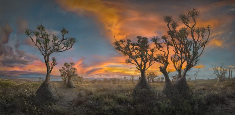 Sotolines At Sunset. Landscape photograph by Luis Lyons, winner of the Shoot The Frame Landscape photography award, December 2023
