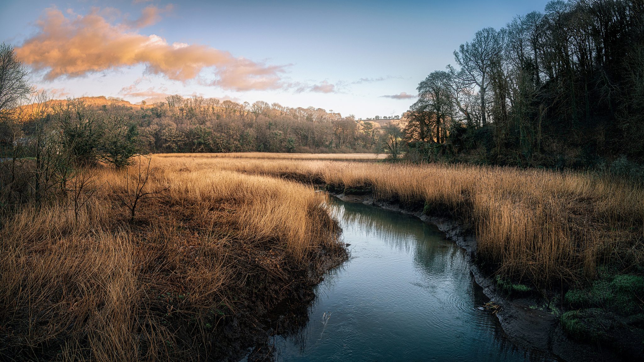 Tributary, Cotehele, Cornwall.GBR. Landscape photograph by Tim Burgess, finalist in the Shoot The Frame Landscape photography award, January 2024